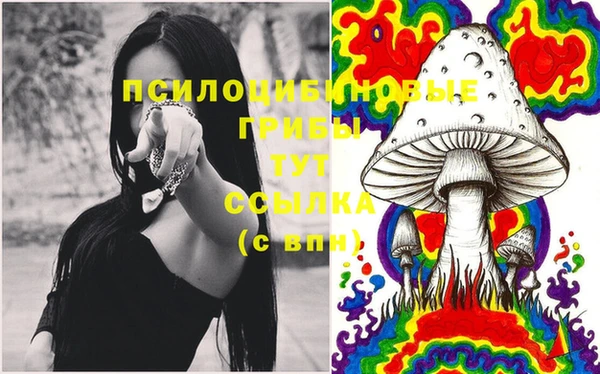 не бодяженный Алексин