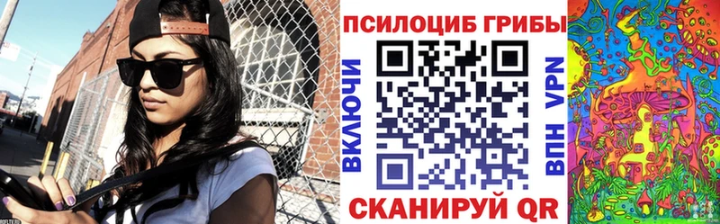 наркота  Енисейск  Галлюциногенные грибы Cubensis 