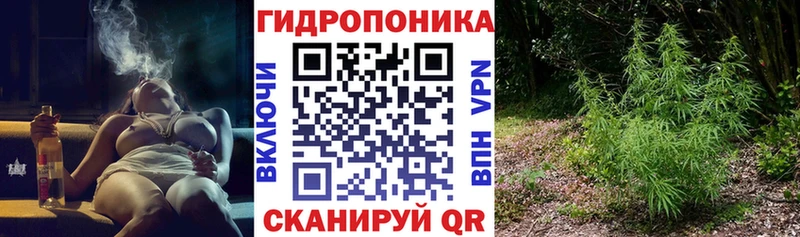 Канабис Amnesia  MEGA зеркало  Енисейск  как найти закладки 